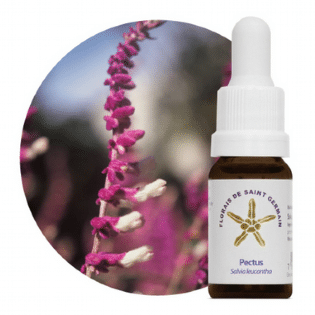 Liberdade Emocional Pectus 10mL - Transforme Sua Vida