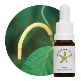 Liberdade Criativa Piper - Floral 10mL