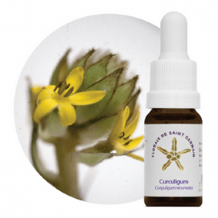 Floral Curculigum 10mL - Força e Determinação Diária