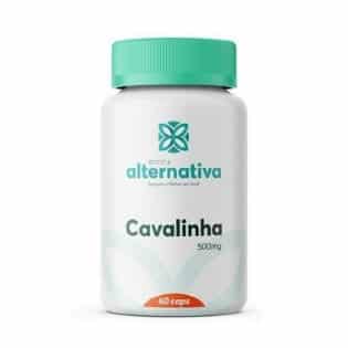 Renove-se: Cápsulas de Cavalinha Poderosa 500mg